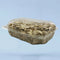 Dry Fruits